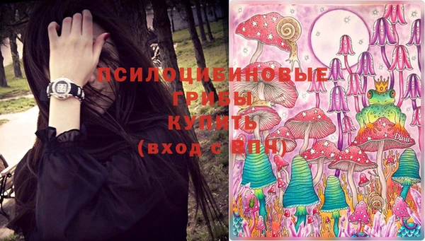 гидропоника Балахна