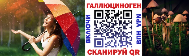 МЕГА рабочий сайт Буинск дарк нет формула Псилоцибиновые грибы мухоморы